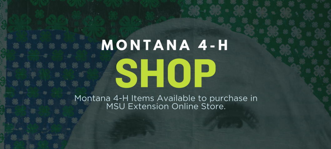 Montana 4H Shop
