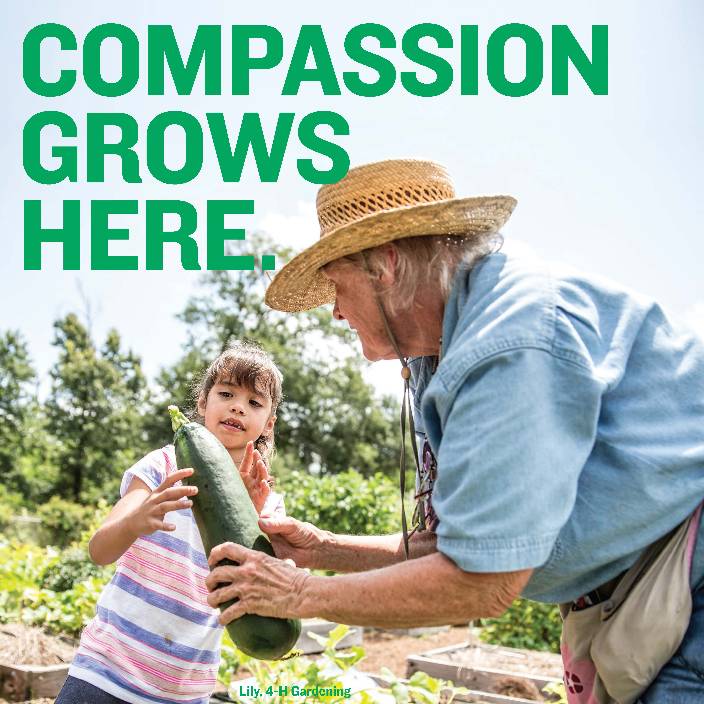 Compassion Flyer