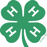 small 4-h clover