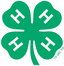 4-H clover in green