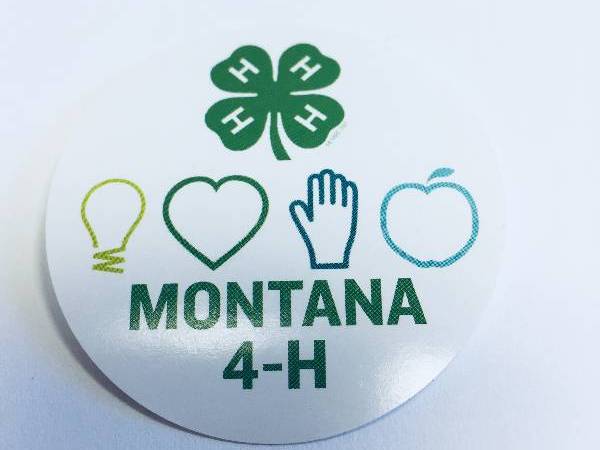 montana 4-H sticker