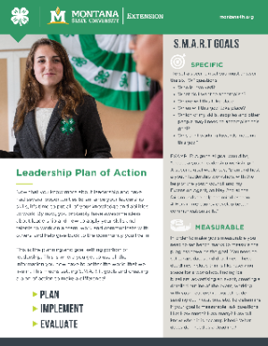 Plan of action leadership lesson plan image of front page. 