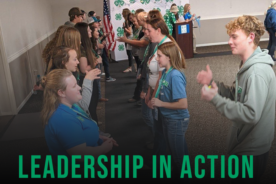 leadership in action
