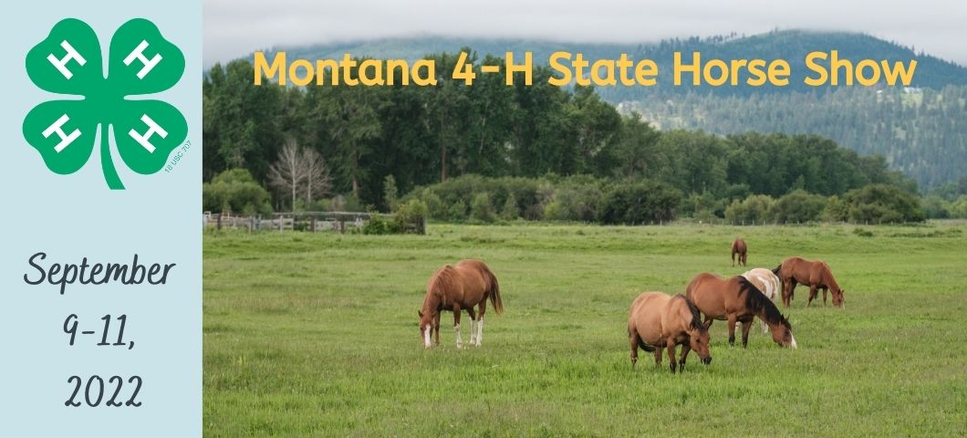 Field of horses and mountains in the background that reads Montana 4-H State Horse Show, September 9-11, 2022.
